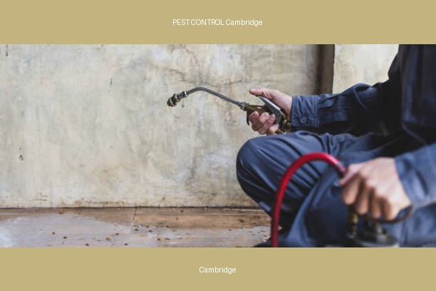 PEST CONTROL Cambridge